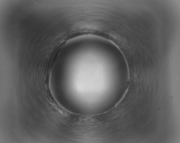 X0000083021061200702091311