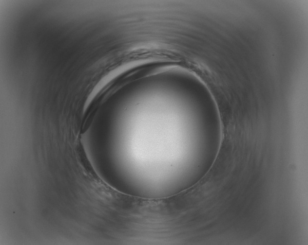X0000083021062200702091311