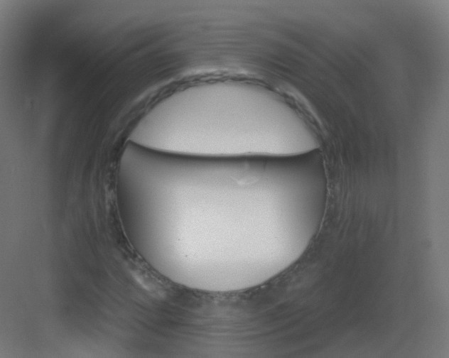 X0000083021064200702091311