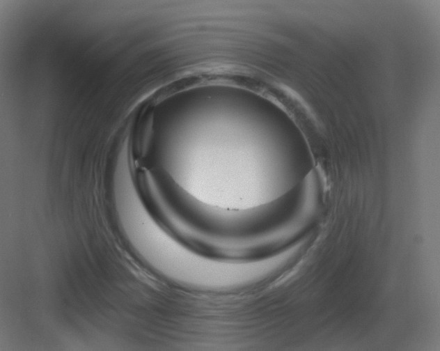 X0000083021065200702091311