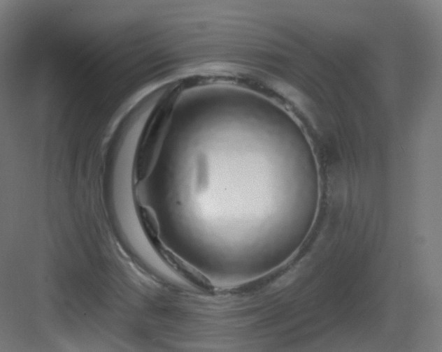 X0000083021066200702091311