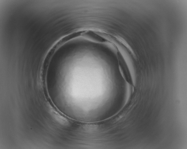 X0000083021068200702091311
