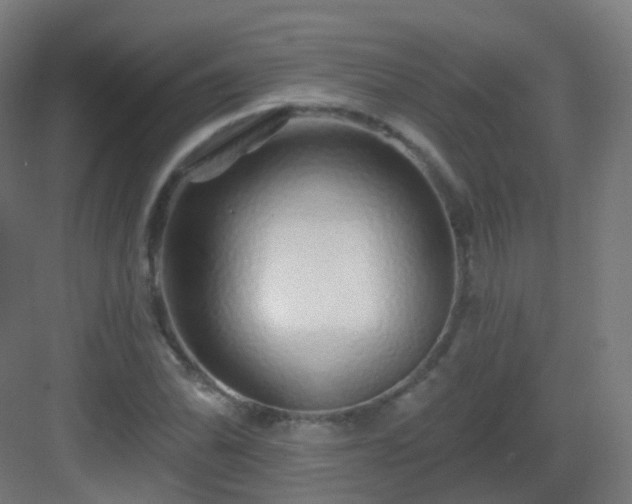 X0000083021070200702091311