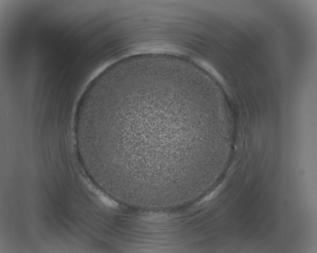 X0000083021071200702091311