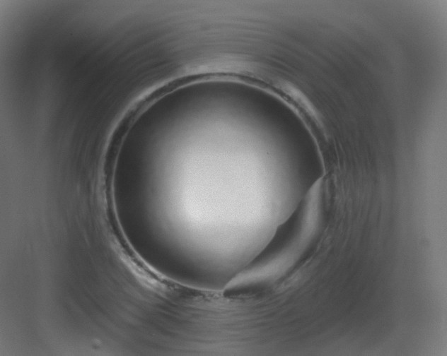 X0000083021072200702091311