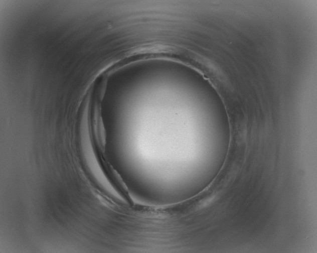 X0000083021073200702091311