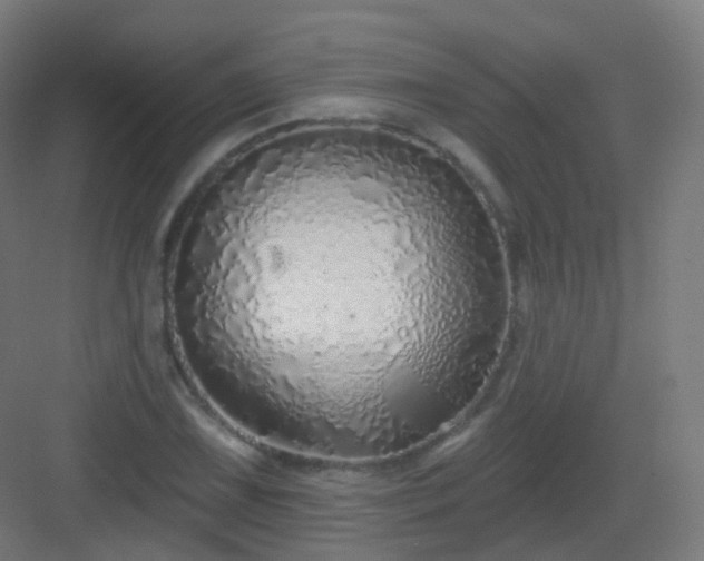 X0000083021075200702091311
