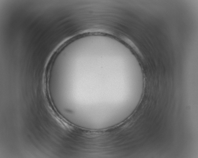 X0000083021076200702091311