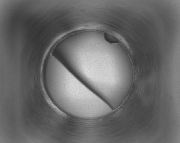 X0000083021080200702091311