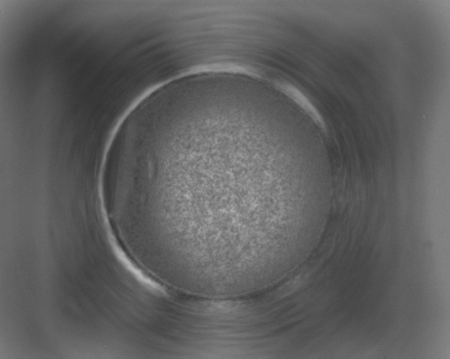 X0000083021084200702091310
