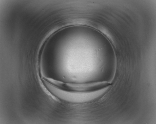 X0000083021088200702091310