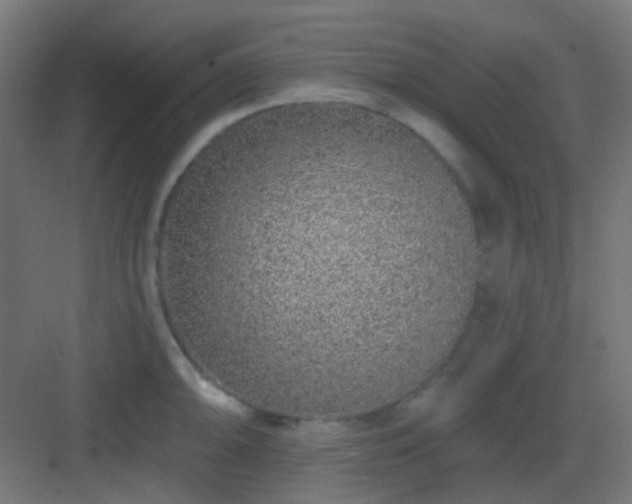 X0000083021094200702091310