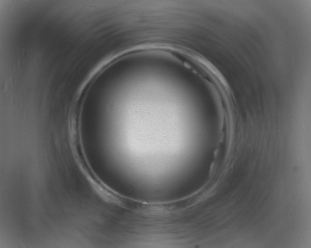 X0000083021101200702091310