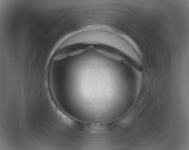 X0000083021102200702091310