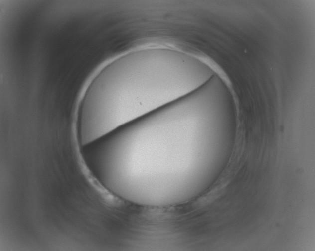 X0000083021104200702091310