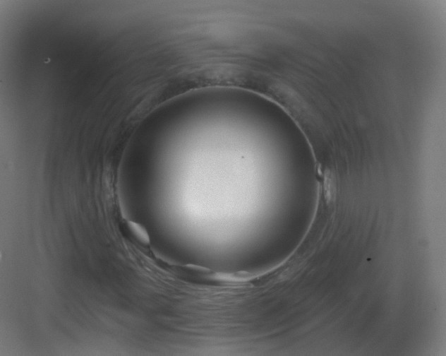 X0000083021107200702091309