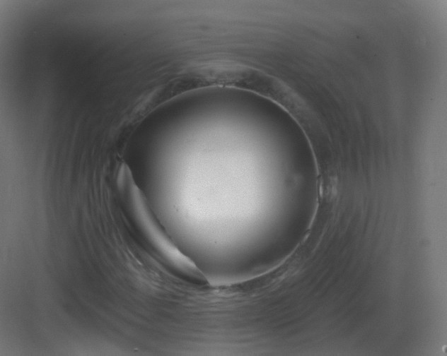 X0000083021108200702091309