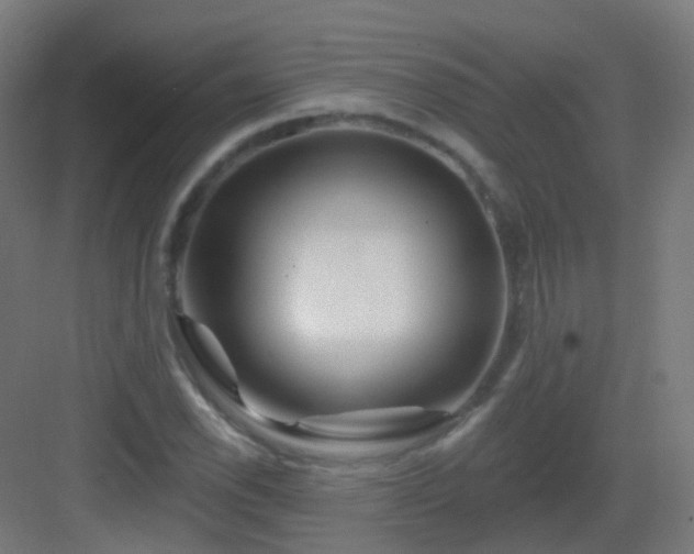 X0000083021118200702091310