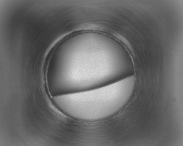X0000083021120200702091310