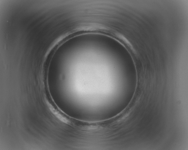 X0000083021122200702091310