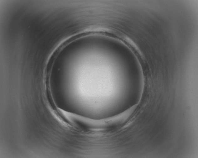 X0000083021124200702091310