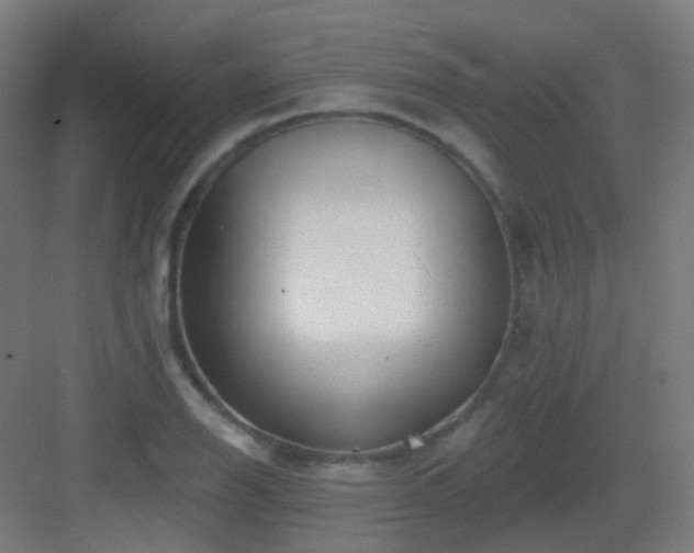 X0000083021126200702091310