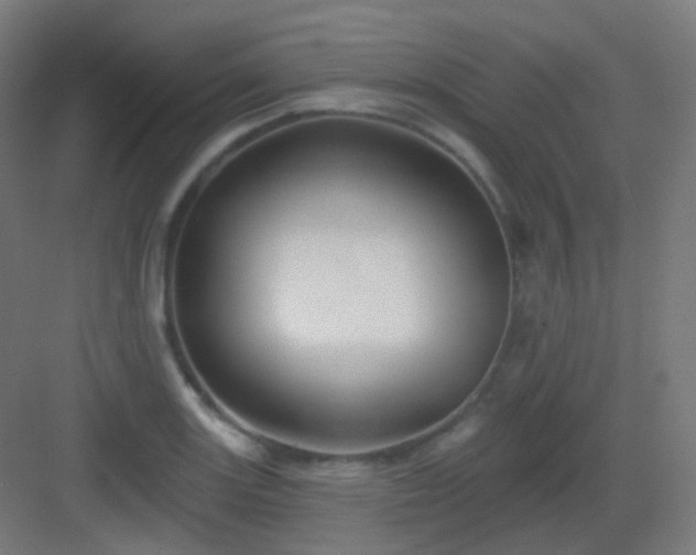 X0000083021131200702091310