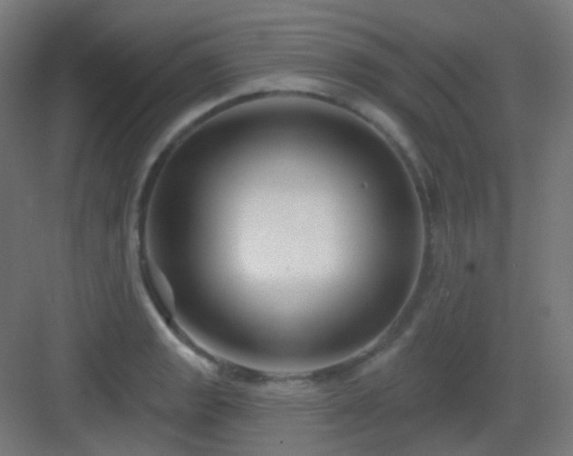 X0000083021133200702091310