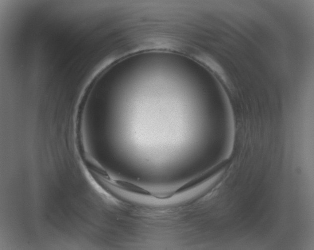 X0000083021135200702091310