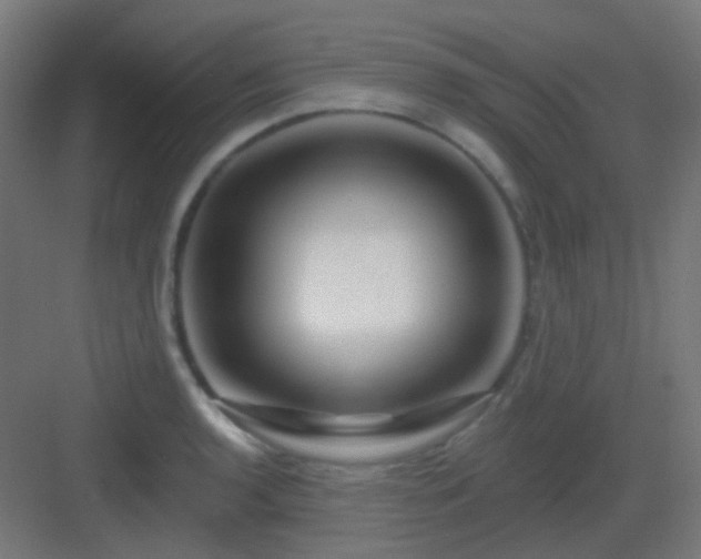 X0000083021136200702091310