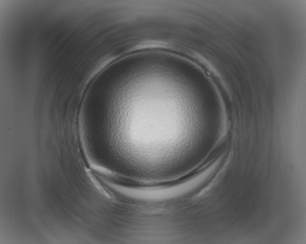 X0000083021137200702091310