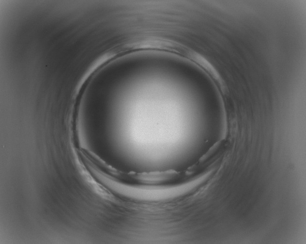 X0000083021138200702091310