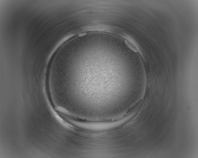 X0000083021139200702091310