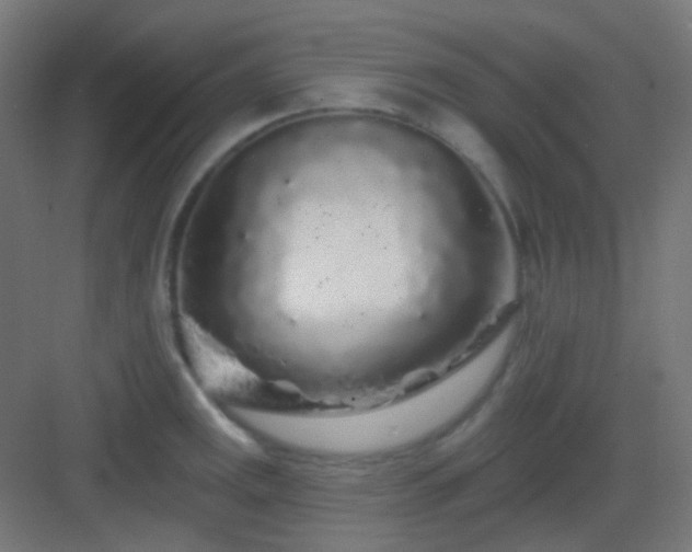 X0000083021141200702091310