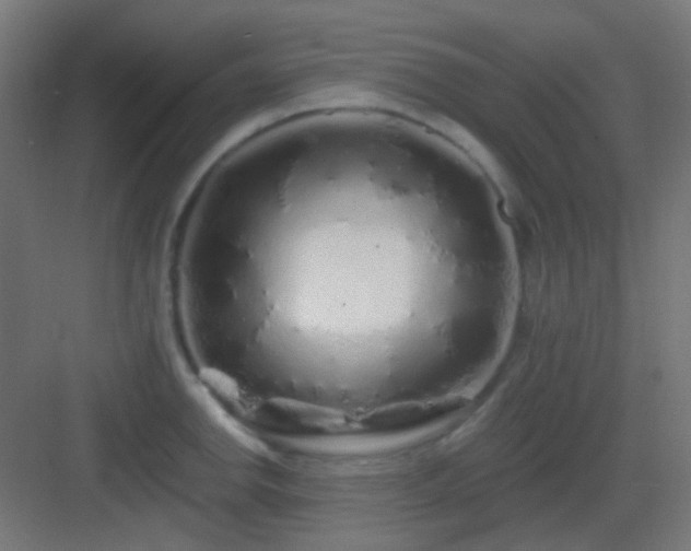 X0000083021142200702091310