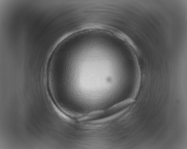 X0000083021143200702091310