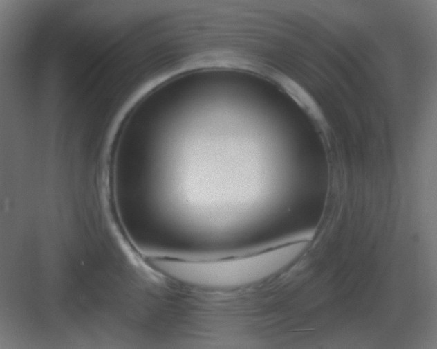 X0000083021144200702091310