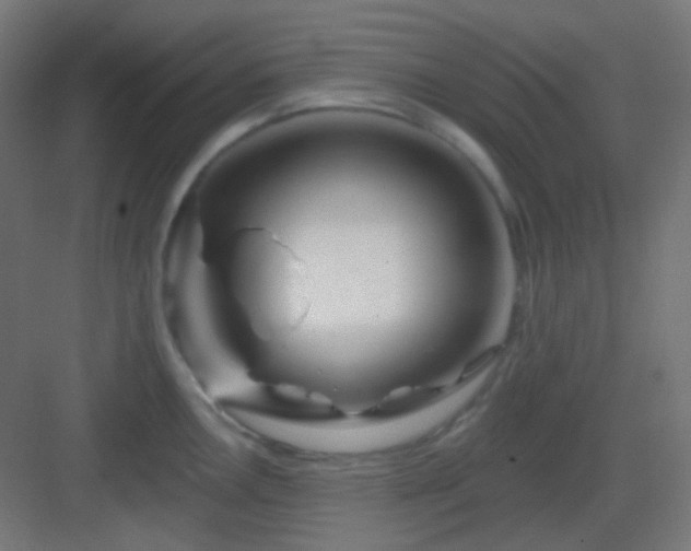 X0000083021146200702091310