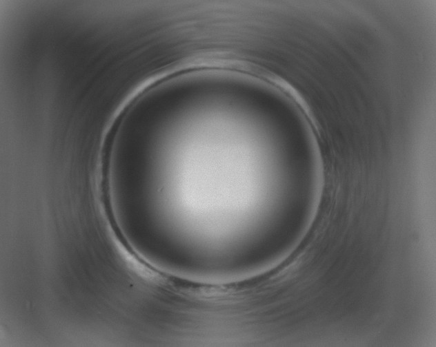 X0000083021147200702091310