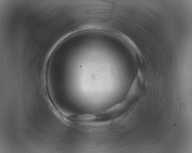 X0000083021148200702091310