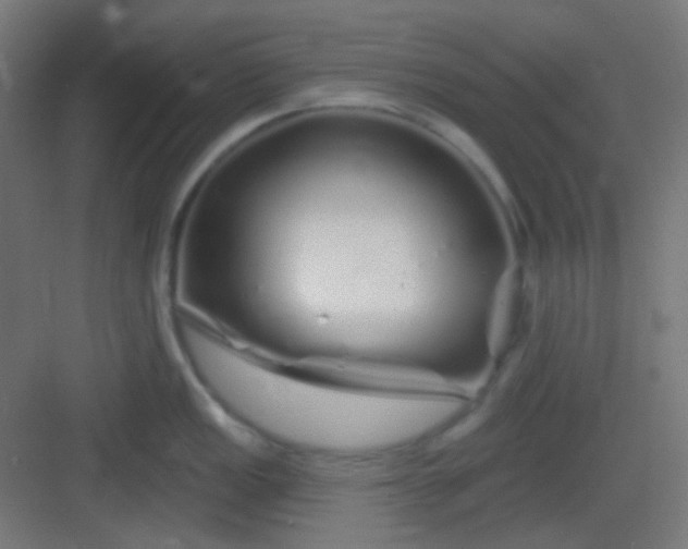 X0000083021149200702091310