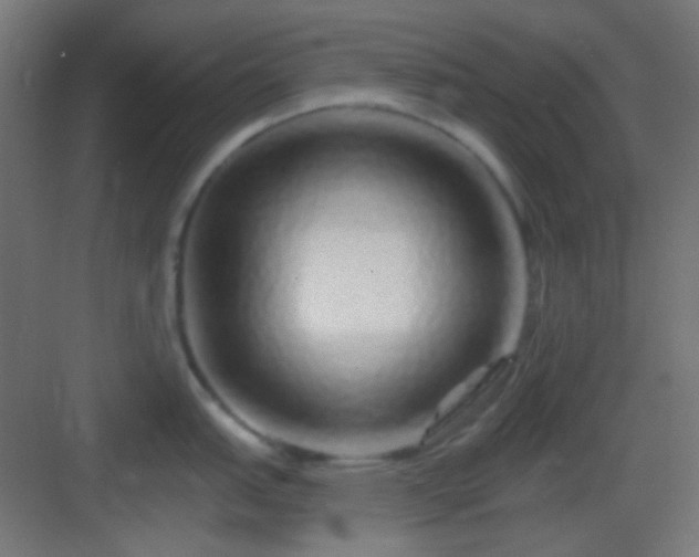 X0000083021151200702091310