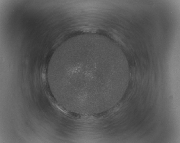 X0000083021154200702091309