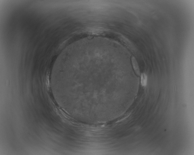 X0000083021155200702091309