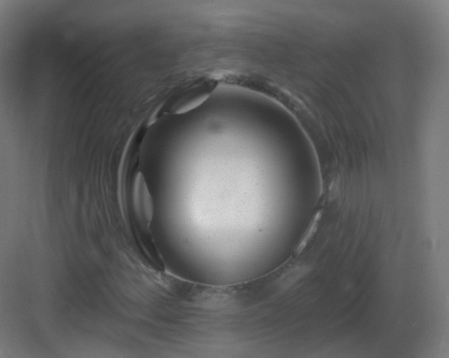 X0000083021156200702091309