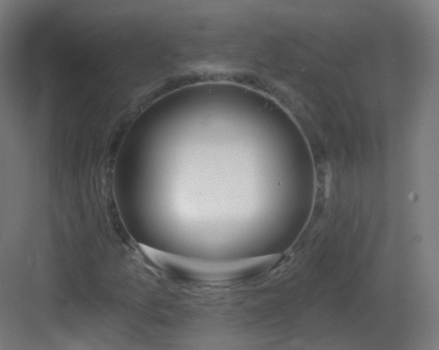 X0000083021157200702091309