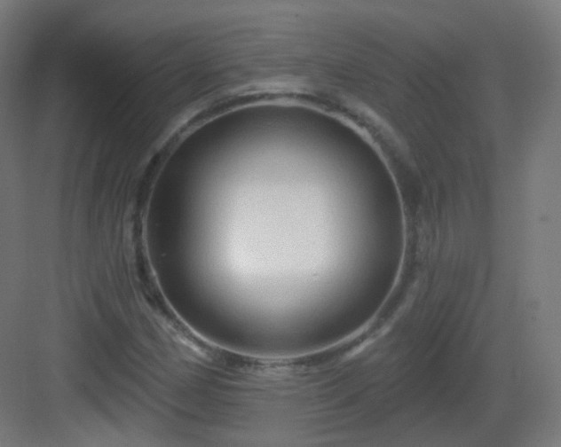 X0000083021162200702091309