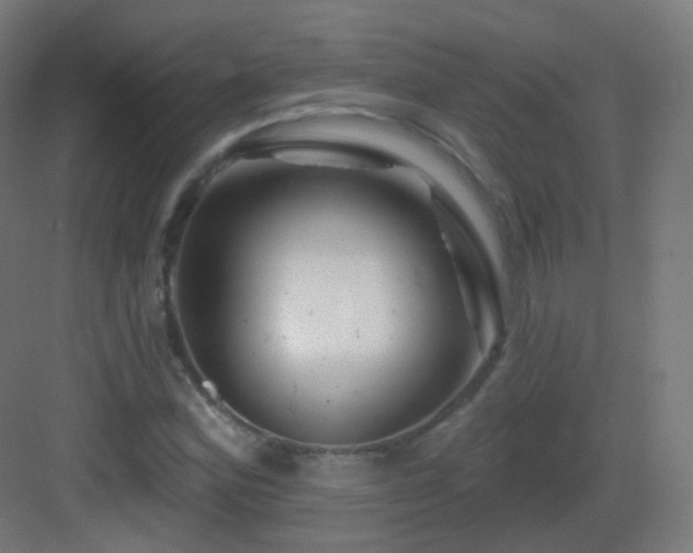 X0000083021164200702091309