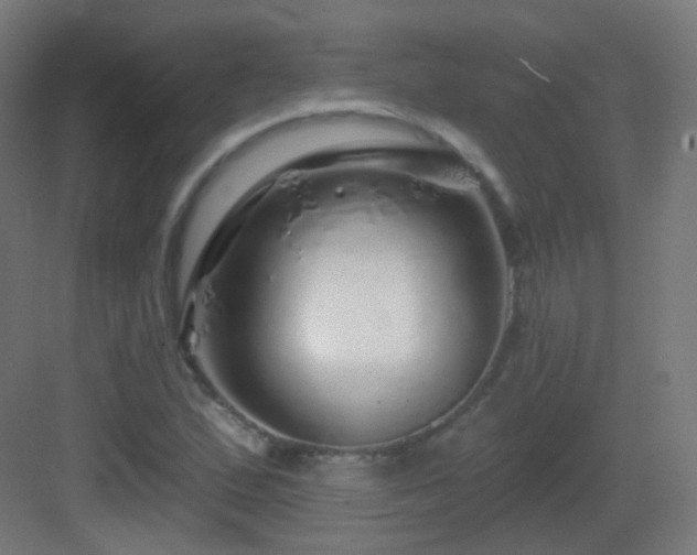 X0000083021167200702091309
