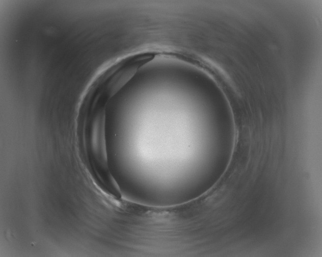 X0000083021168200702091309